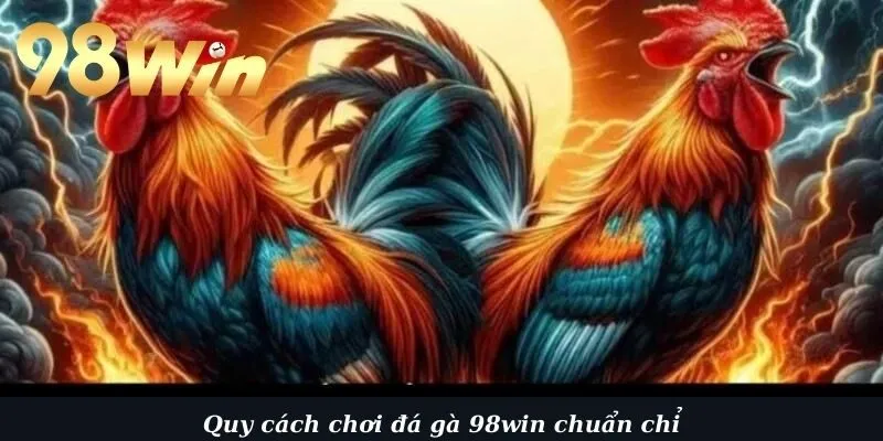 Tìm hiểu cụ thể về luật chơi đá gà 98win