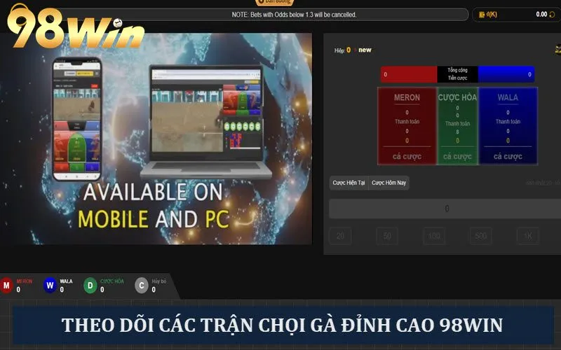 Theo dõi các trận chọi gà hồi hộp đỉnh cao tại 98Win