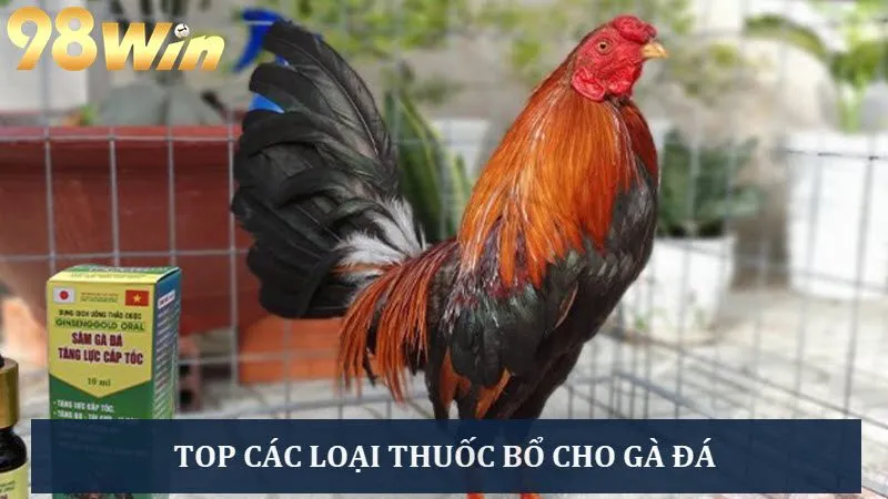 Cập nhật các loại thuốc bổ cho gà đá hiệu quả số 1