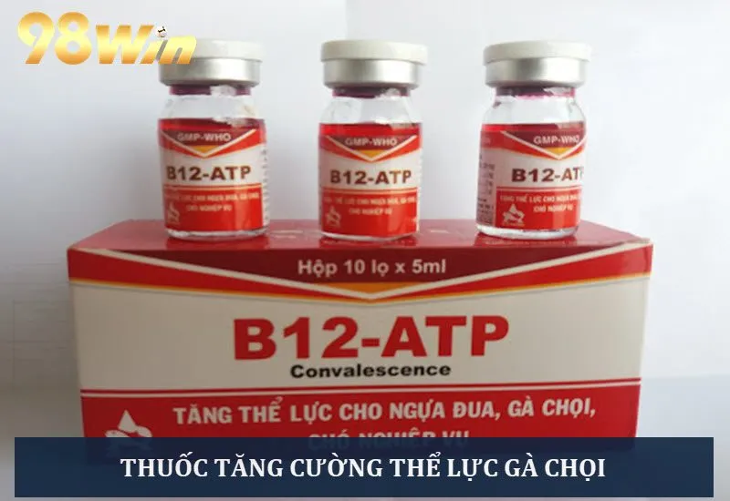 Thuốc tăng cường thể lực cho gà chọi